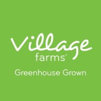 VFF logo