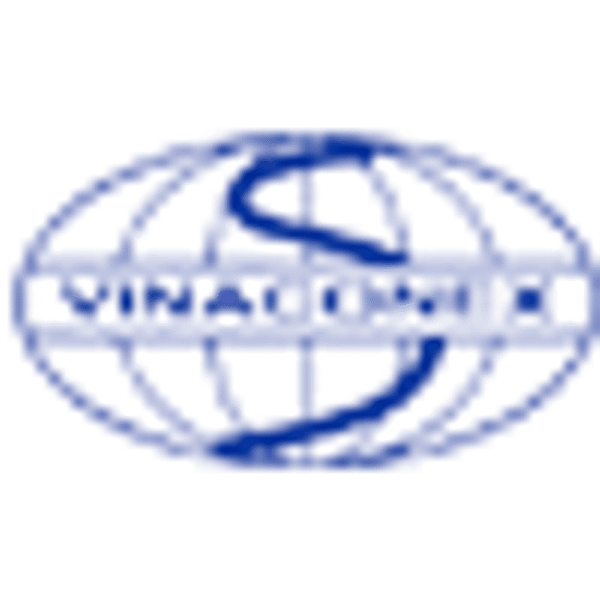 V21 logo