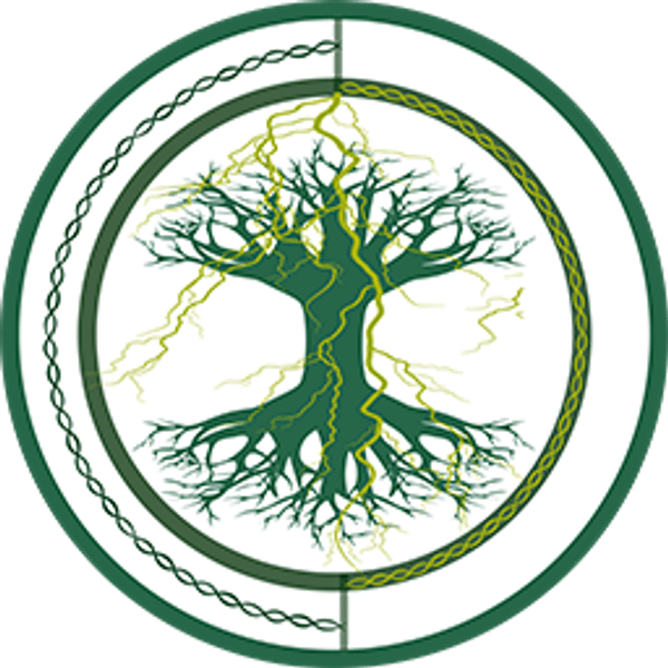 VLD logo