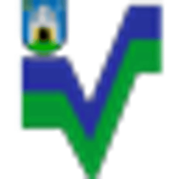 VDZG logo