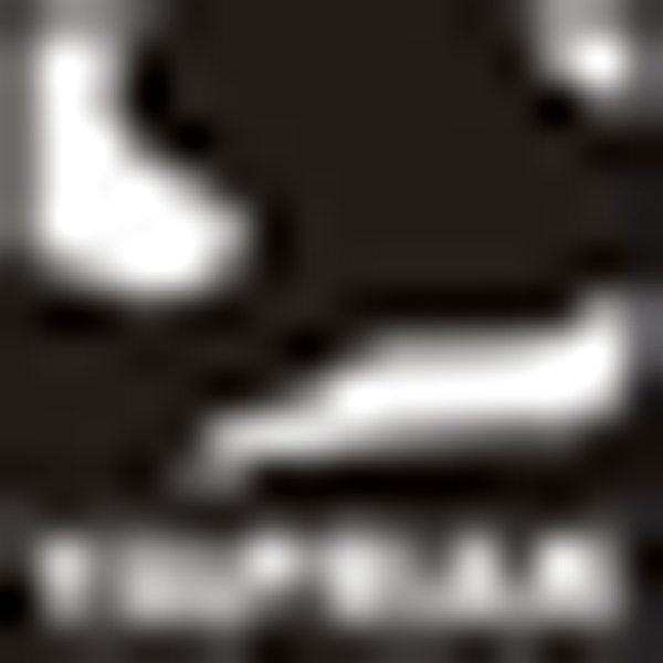 YAPRK logo