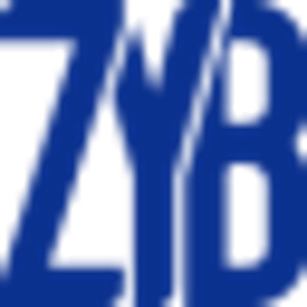 ZHYB.F logo