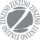 ZNZN.F logo