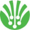 FIEMIND logo
