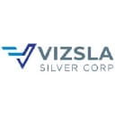 VZLA logo