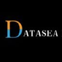 DTSS logo