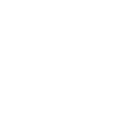 AEG logo