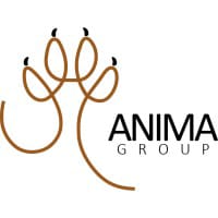 ANIMA B logo