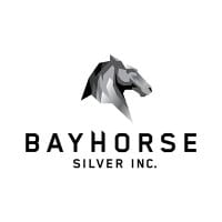 BHS logo