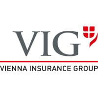 VIG logo