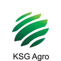 KSG logo