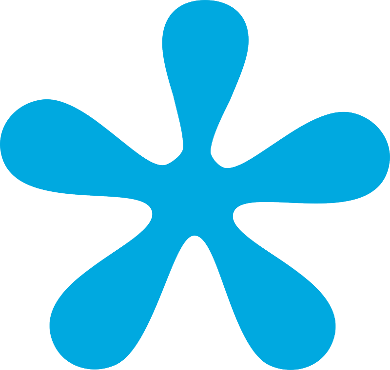 1PI logo