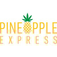 PNXP logo