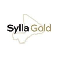 SYG logo