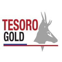 TSO logo