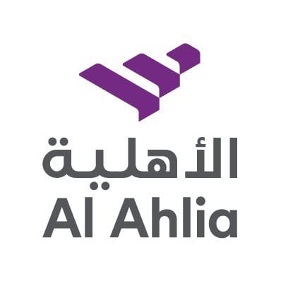 AINS logo