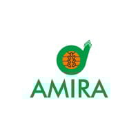 ANFI.F logo