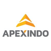 APEX logo