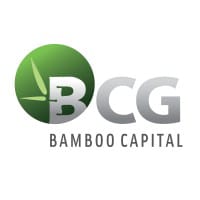 BCG logo