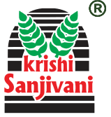 524687 logo