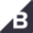 BRAV logo