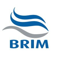 BRIM logo