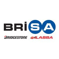 BRISA logo