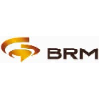 BRMS logo