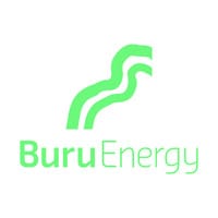 BRNG.F logo