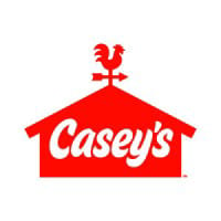 CASY * logo