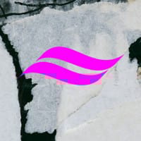CEDO4 logo