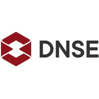 DSE logo