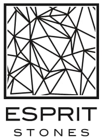 ESPRIT logo