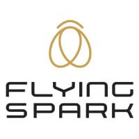 FLYS logo