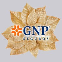 GNP * logo