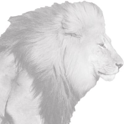 YIBI logo