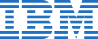 IBM * logo