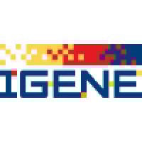 IGNE logo