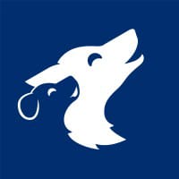 BRAVE logo