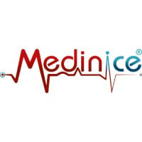 ICE logo