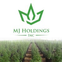MJNE logo