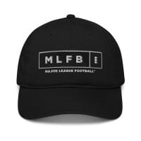 MLFB logo
