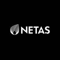 NETAS logo