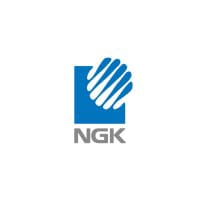 NGI logo