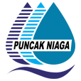 PUNCAK logo