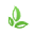 SEYAIND logo