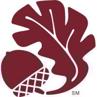 STBI logo
