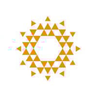 SNNV.F logo