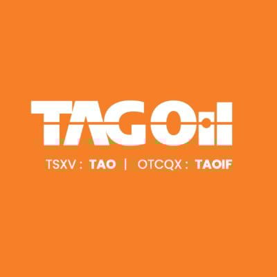 TAO logo