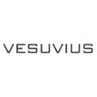 V4S logo